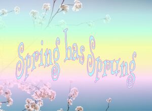 A pastel gradient background is overlaid over the top of an image of blooming cherry blossom branches. The text "Spring has Sprung" in whimsical font conveys a joyful, seasonal theme.